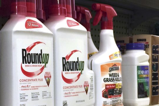roundup